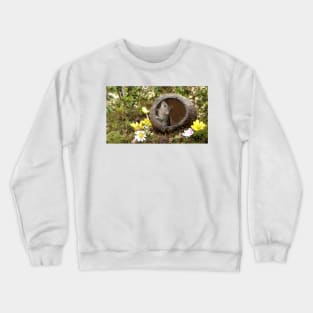 Little mouse in a coconut shell Crewneck Sweatshirt